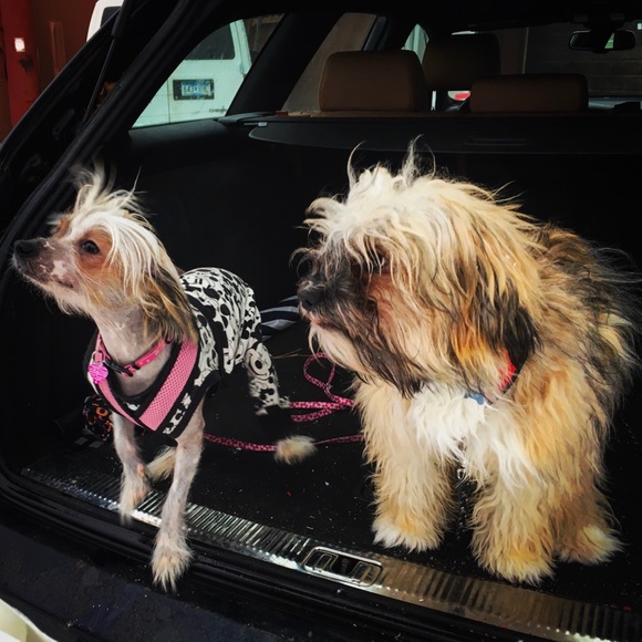 Meet your Posher, Meighan - Picture 1 of 7